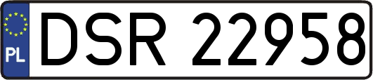 DSR22958