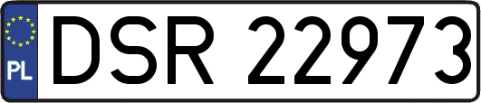 DSR22973