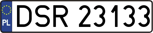 DSR23133