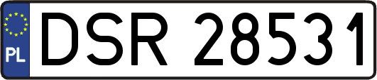 DSR28531