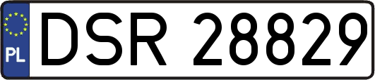 DSR28829