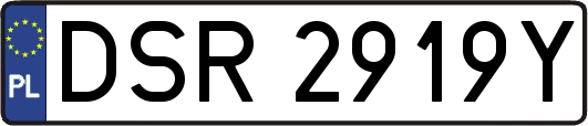 DSR2919Y