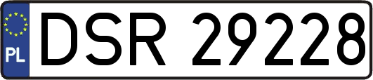 DSR29228