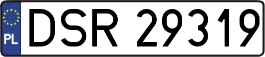 DSR29319