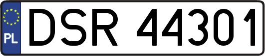 DSR44301