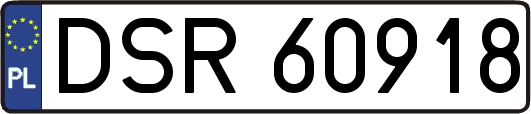 DSR60918