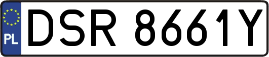 DSR8661Y