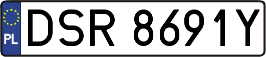 DSR8691Y