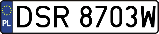 DSR8703W