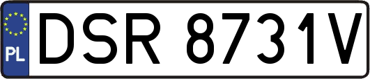 DSR8731V