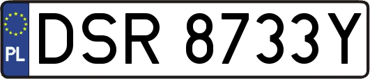 DSR8733Y