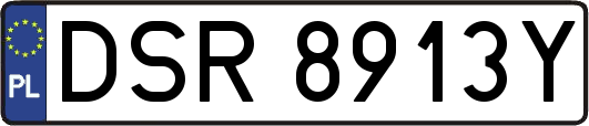 DSR8913Y