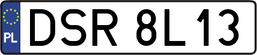 DSR8L13