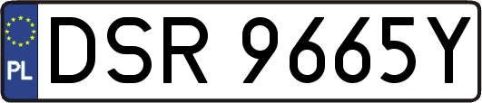 DSR9665Y