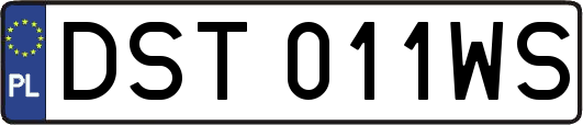 DST011WS