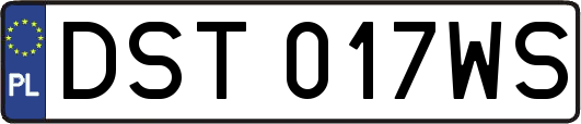 DST017WS