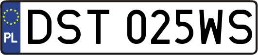 DST025WS