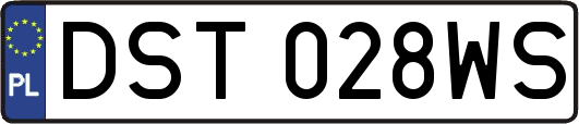 DST028WS
