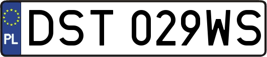 DST029WS
