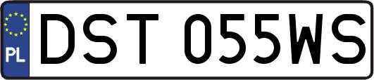 DST055WS
