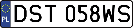 DST058WS