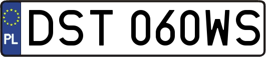 DST060WS