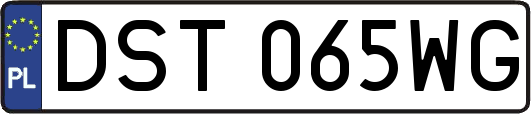 DST065WG