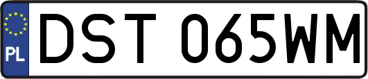 DST065WM