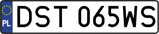 DST065WS