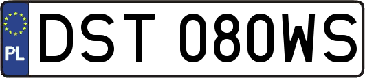 DST080WS