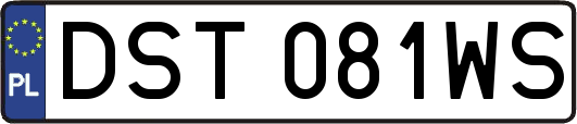 DST081WS