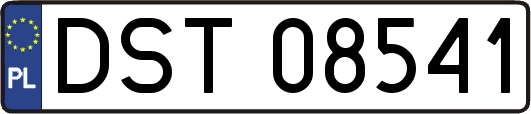 DST08541