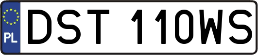 DST110WS