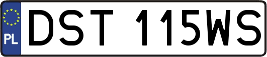 DST115WS