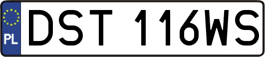 DST116WS