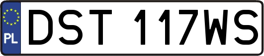 DST117WS