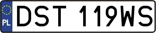 DST119WS