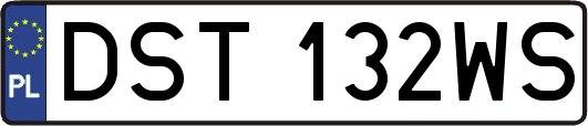 DST132WS