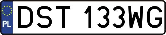 DST133WG