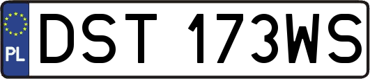 DST173WS