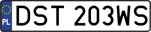 DST203WS