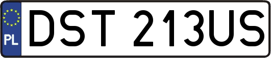 DST213US