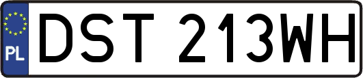 DST213WH