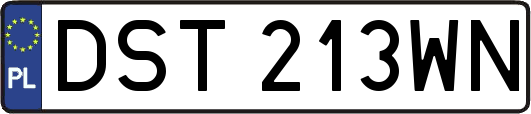 DST213WN