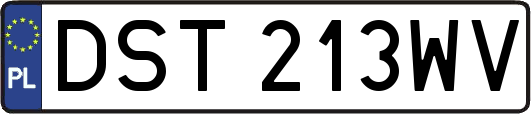 DST213WV