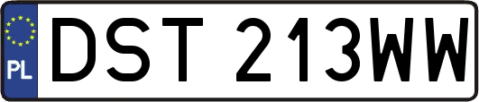 DST213WW