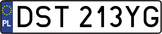 DST213YG