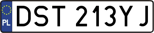 DST213YJ