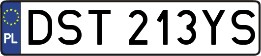 DST213YS