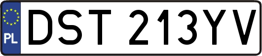 DST213YV